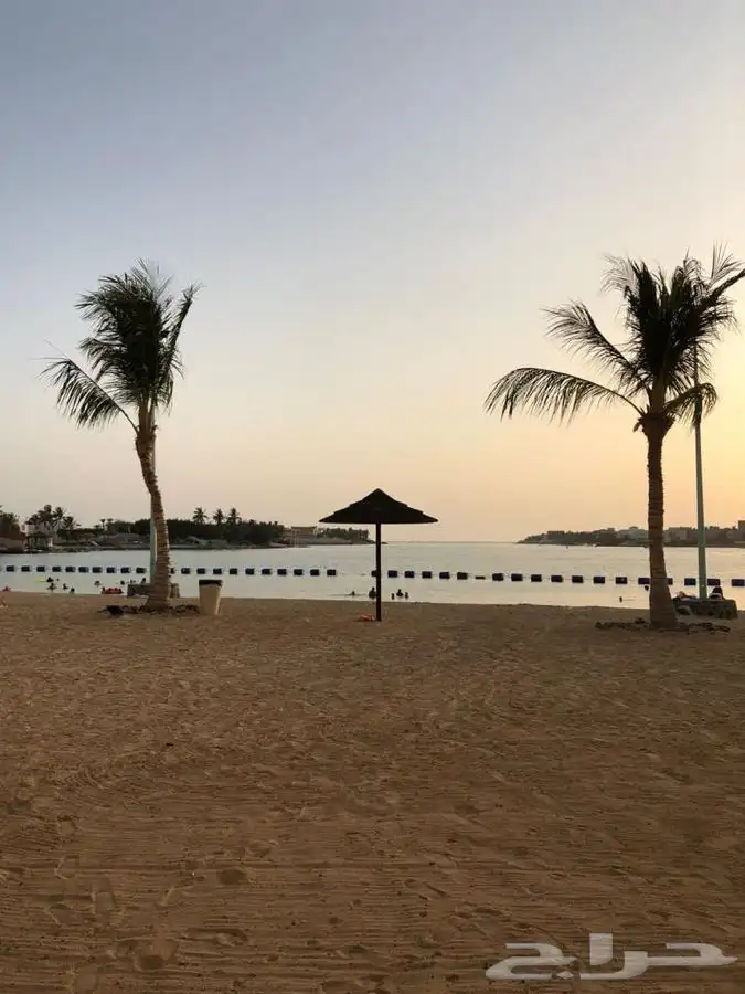 شاليه الفان بيتش شاليه المرح للايجار اليومي والاسبوعي وشهري 2