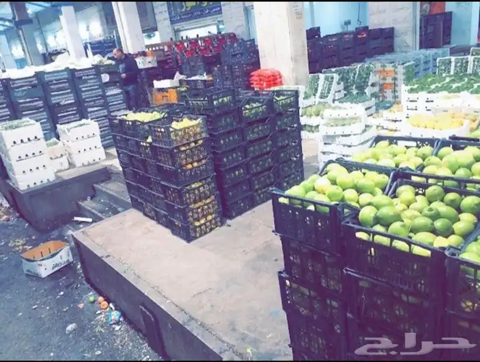 خضار وفواكه يوميا محلي ومستورد 4