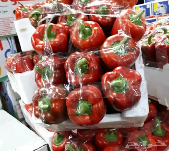 خضار وفواكه يوميا محلي ومستورد 6