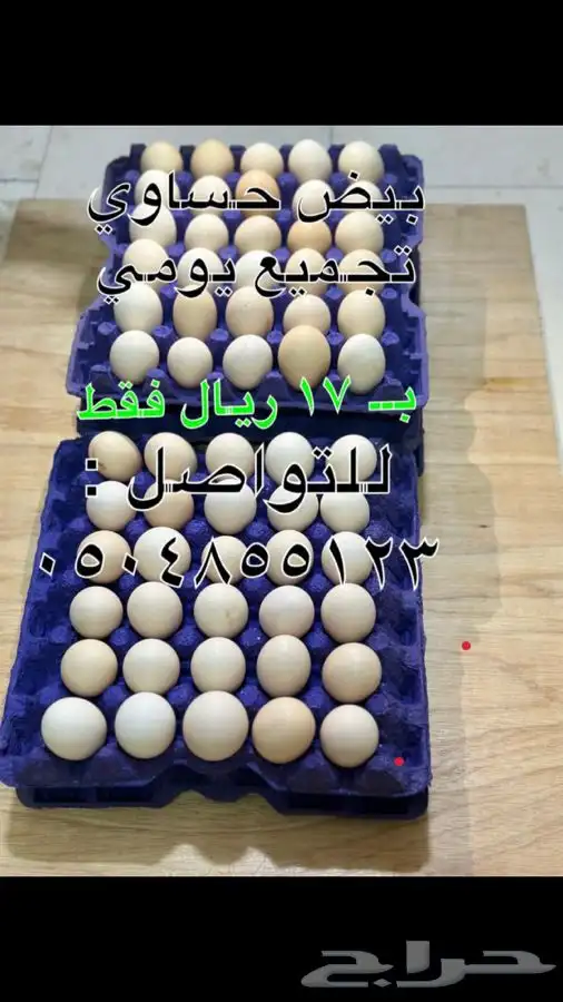 بيض حساوي وفرنسي وفيومي 0