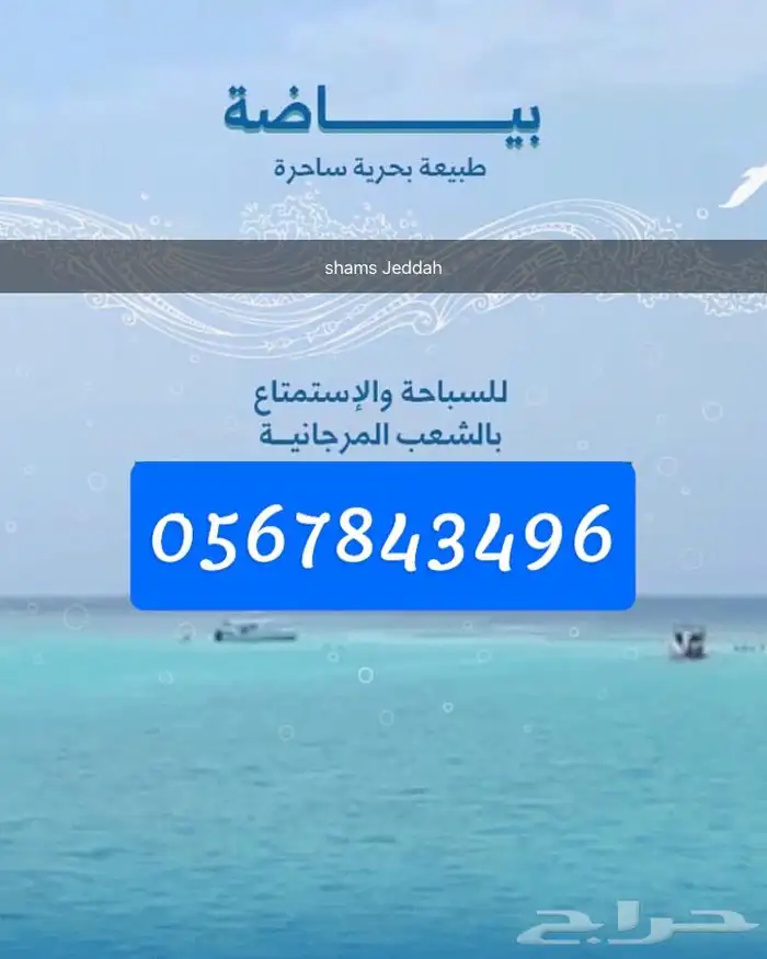 جزيرة بياضة مالديف جدة 22
