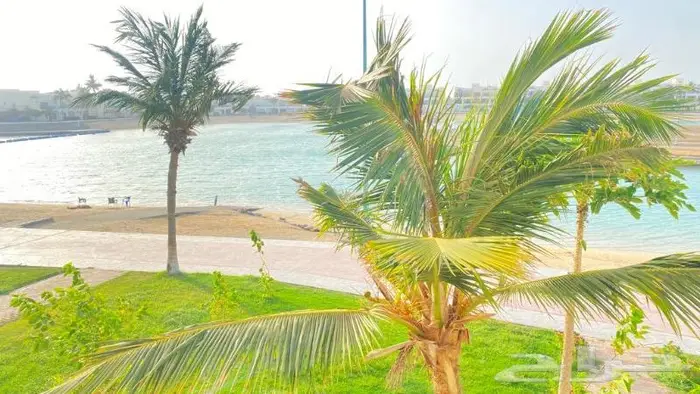 شاليهات منتجع درة العروس مطله على البحر مباشرة 0