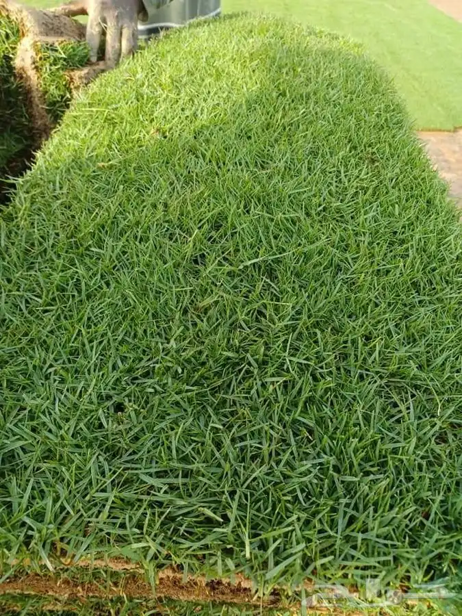 ثيل cl2000 الخرج نخل وشنطونيه 50