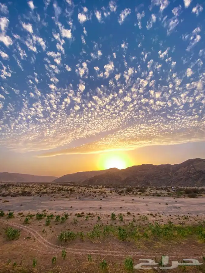 تصوير جوي بالدرون 10