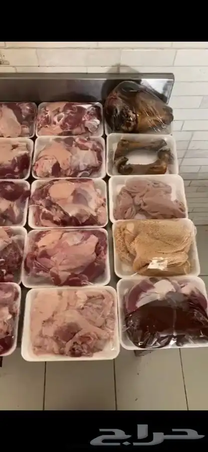 طليان 11