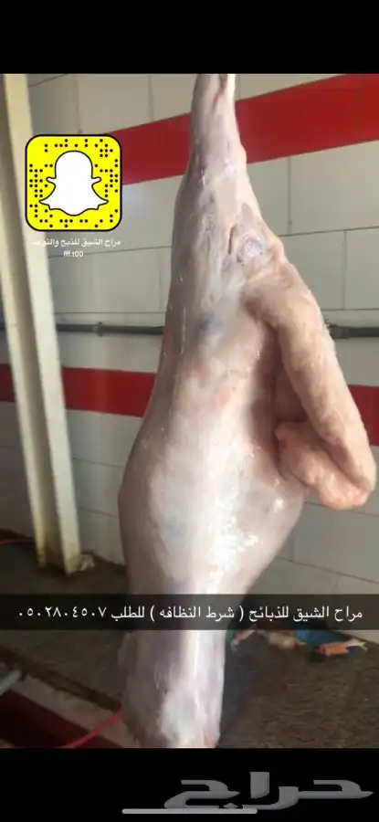 طليان 0