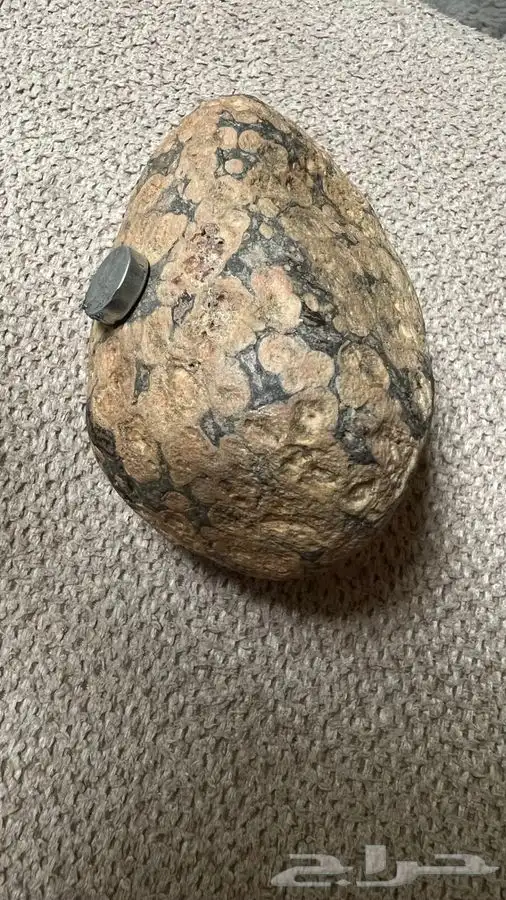 حجر نيزك ثقيل يلتصق فيه المغناطيس 0