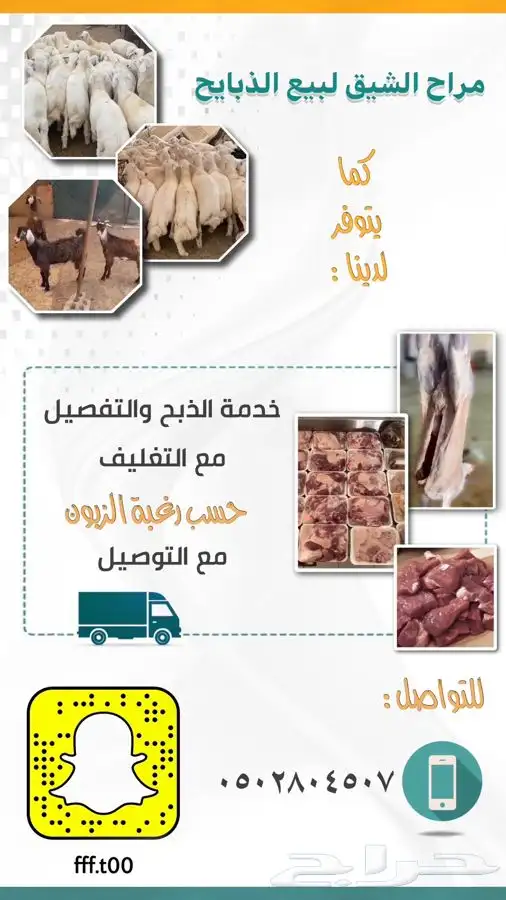 طليان 9