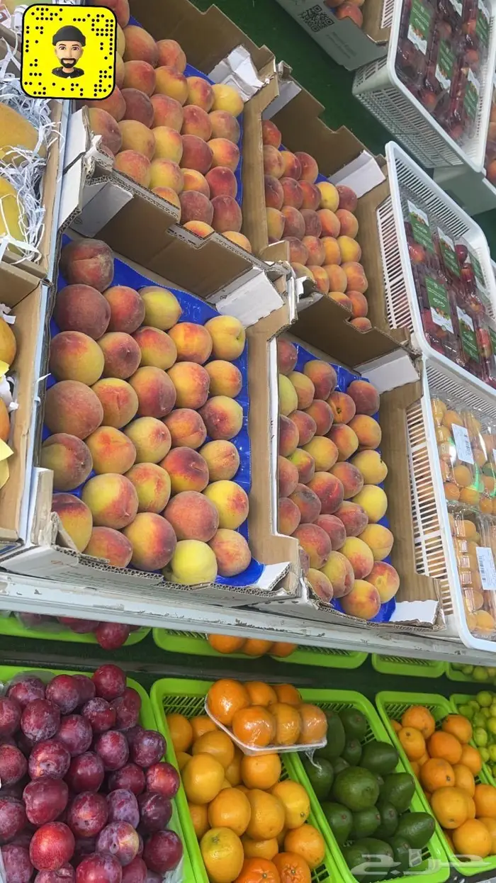 توصيل مجانا جميع مخططات الشرايع 8
