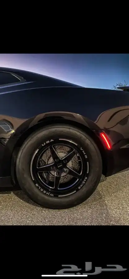 نوفر لكم جنوط ويلدات - ريس ستار - بيدلوك 11