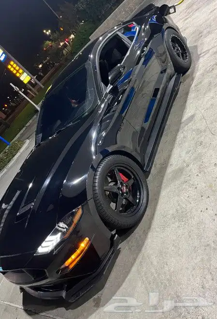 نوفر لكم جنوط ويلدات - ريس ستار - بيدلوك 13