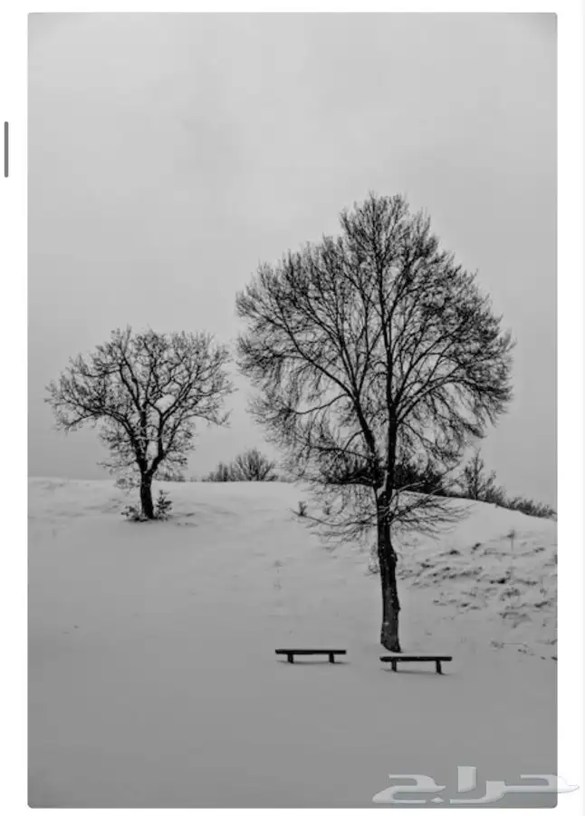 شقة الملقا لوحات جدارية فخامه و راقيه التفصيل حسب الطلب 20