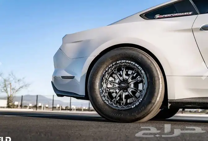 نوفر لكم جنوط ويلدات - ريس ستار - بيدلوك 23