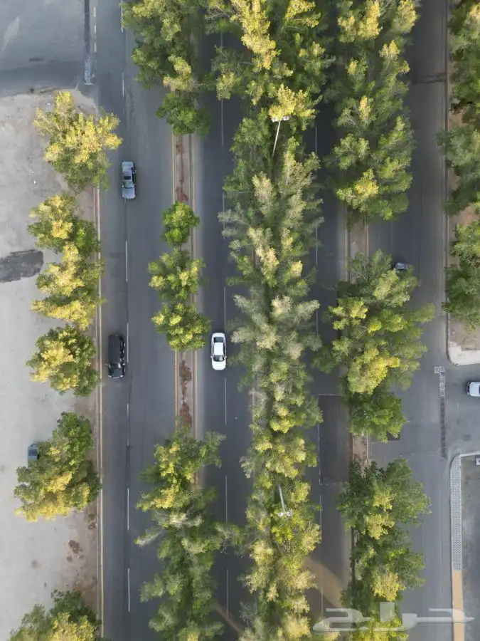 تصوير جوي بالدرون للعقارات بكافة أنواعها drone 6