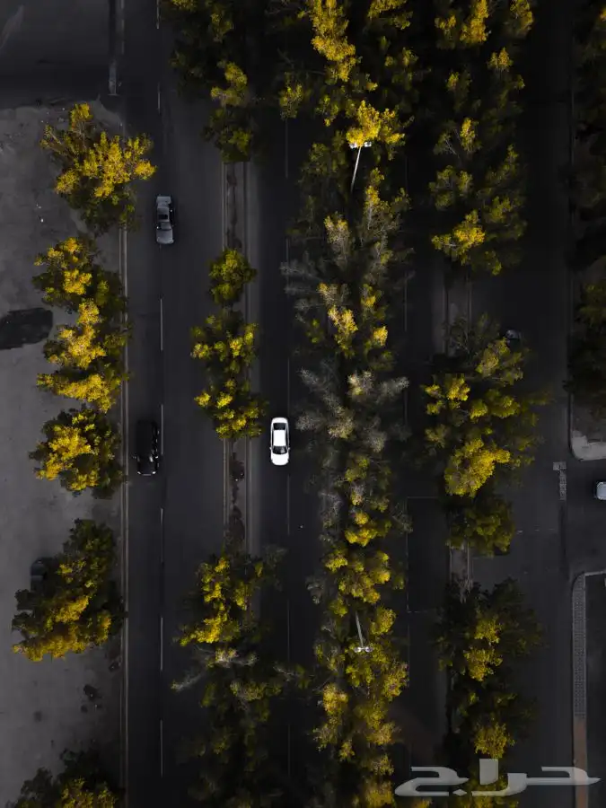 تصوير جوي بالدرون للعقارات بكافة أنواعها drone 3