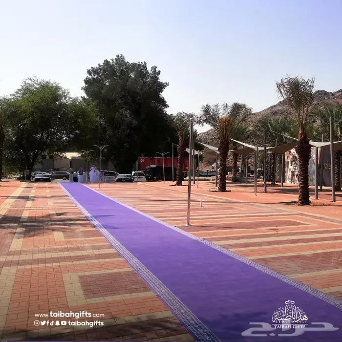سجاد مراسم الخزامى البنفسجي للاستقبال 0