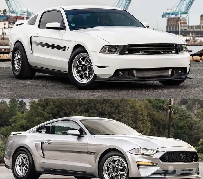 نوفر لكم جنوط ويلدات - ريس ستار - بيدلوك 7