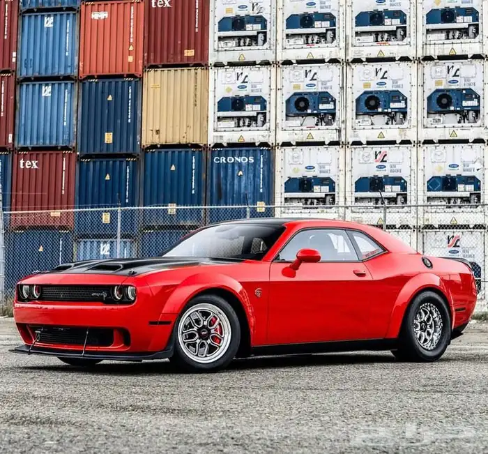 نوفر لكم جنوط ويلدات - ريس ستار - بيدلوك 5