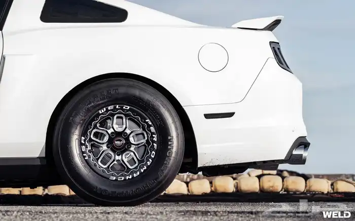 نوفر لكم جنوط ويلدات - ريس ستار - بيدلوك 24