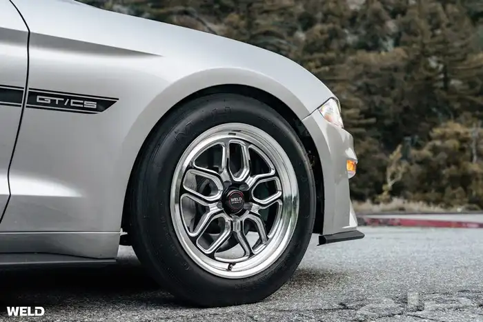 نوفر لكم جنوط ويلدات - ريس ستار - بيدلوك 17