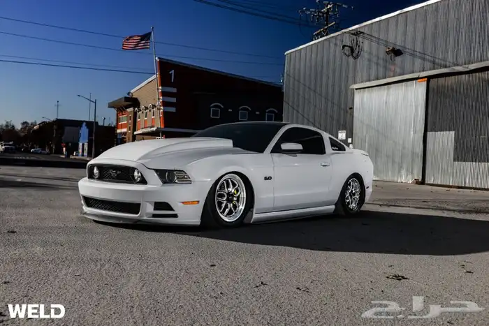 نوفر لكم جنوط ويلدات - ريس ستار - بيدلوك 20