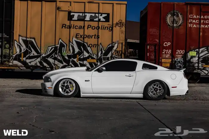 نوفر لكم جنوط ويلدات - ريس ستار - بيدلوك 21