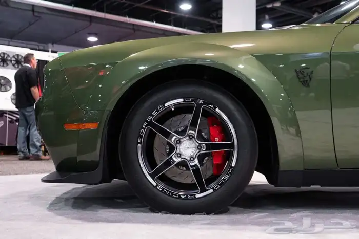 نوفر لكم جنوط ويلدات - ريس ستار - بيدلوك 25