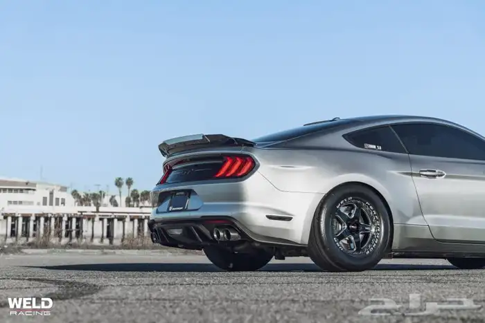 نوفر لكم جنوط ويلدات - ريس ستار - بيدلوك 22