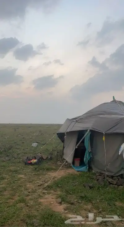 ذبايح حريه من البر مع الذبح والتوصيل لبيتك 4