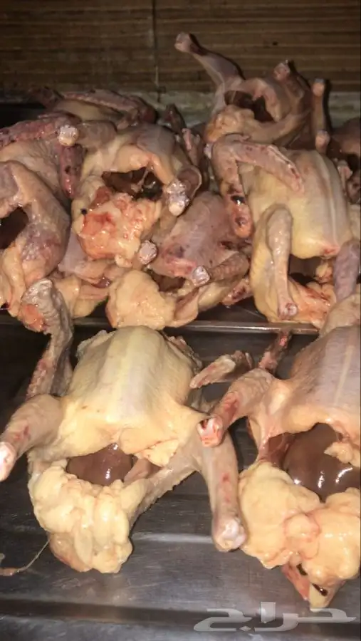 زغاليل 5