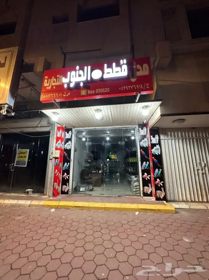 محل قطط الجنوب التجاريه 1