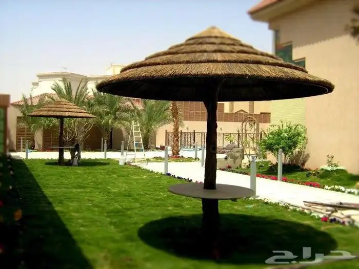 عشب جداري جملة الجمله 5
