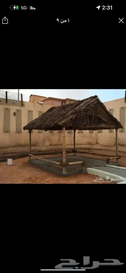 سعف نخل رولات عسف النخل جريد للجلسات والاحواش 9