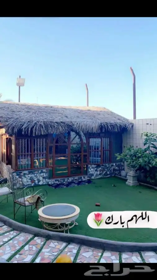 سعف نخل رولات عسف النخل جريد للجلسات والاحواش 11