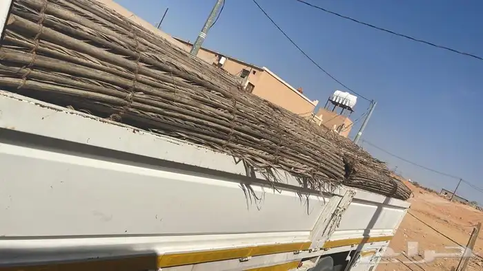 سعف نخل رولات عسف النخل جريد للجلسات والاحواش 13