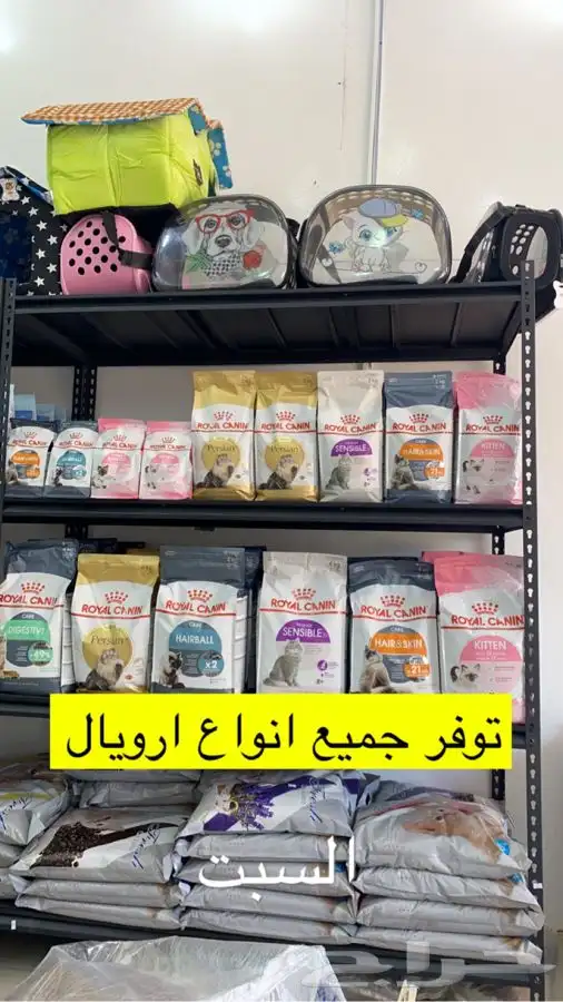 قطط طيور سلااحف اسماك هامستر يتوفر عنايه للقطط 0