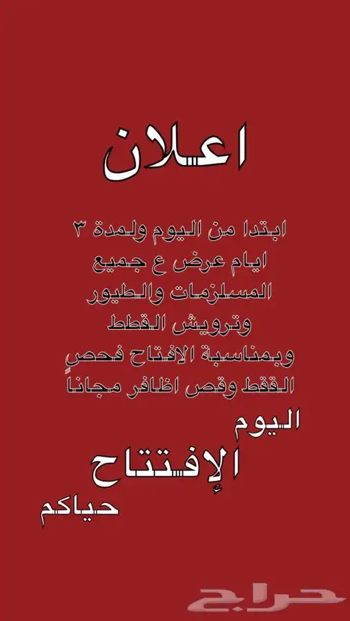 قطط طيور سلااحف اسماك هامستر يتوفر عنايه للقطط 10