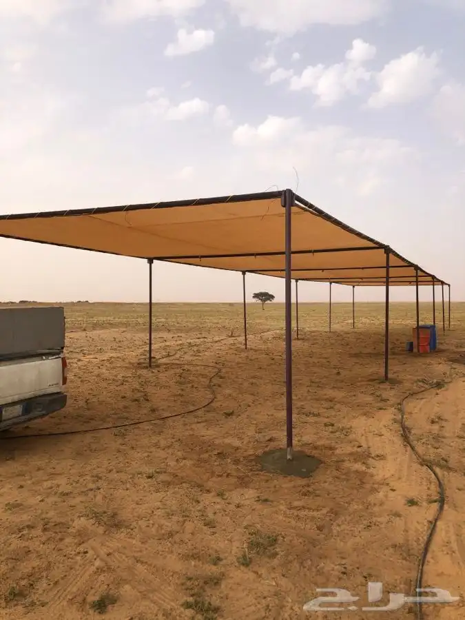 مضلات ابل وغنم وذرف جميع مقاسات جلسات صناديق 0