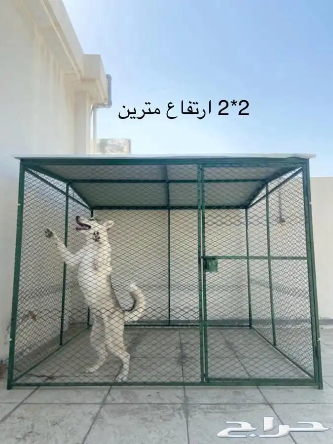 قفص شبك طيور حيوانات اليفه كلاب قطط ارانب 0