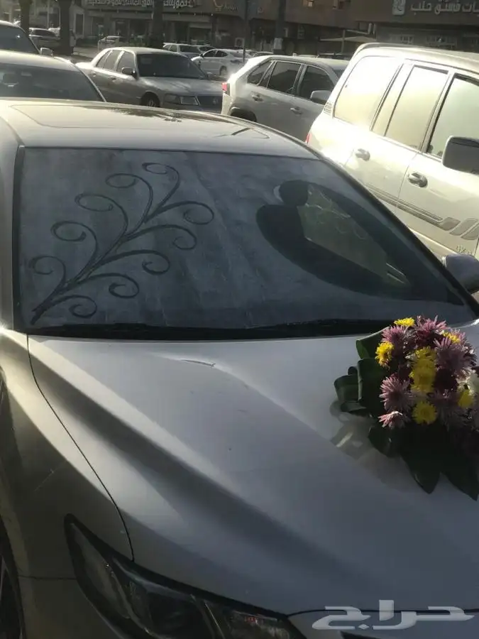 تشريع سيارات 1