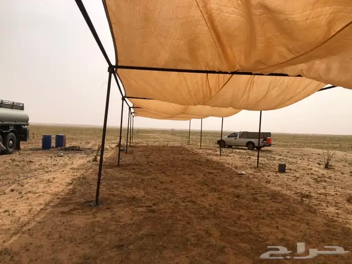 مضلات ابل وغنم وذرف جميع مقاسات جلسات صناديق 3