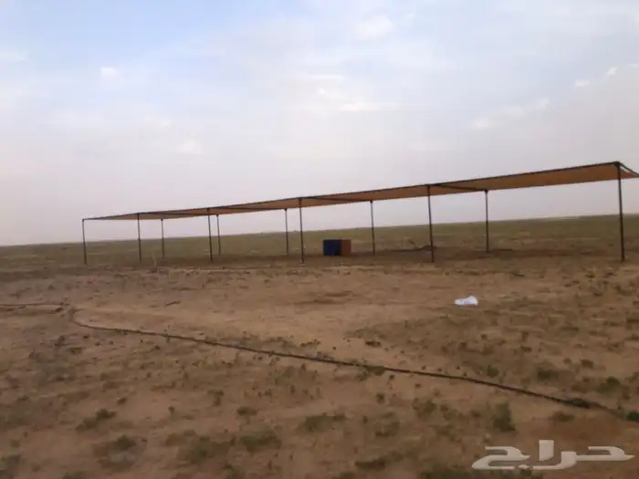 مضلات ابل وغنم وذرف جميع مقاسات جلسات صناديق 1