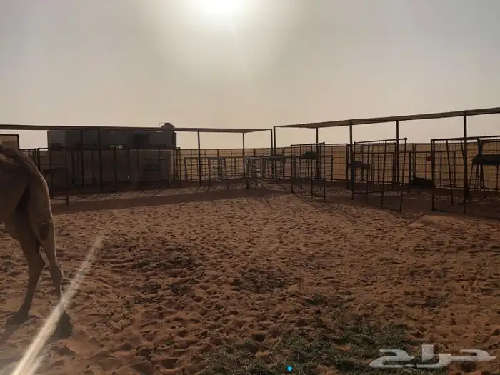 مضلات ابل وغنم وذرف جميع مقاسات جلسات صناديق 4