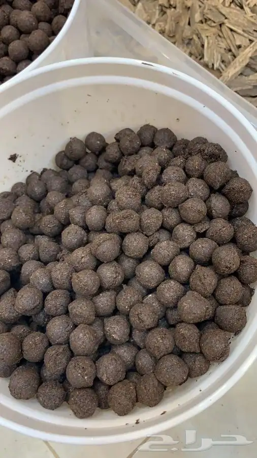 معمول طائفي و دوسري اسعار خاصه للاسر المنتجة 1