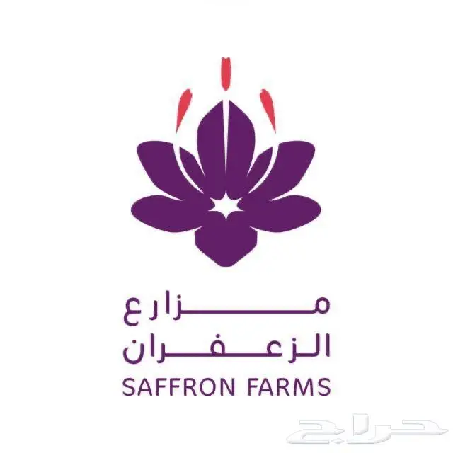 زعفران أفغاني حر ملكي عضوي سوبر نقيل 5