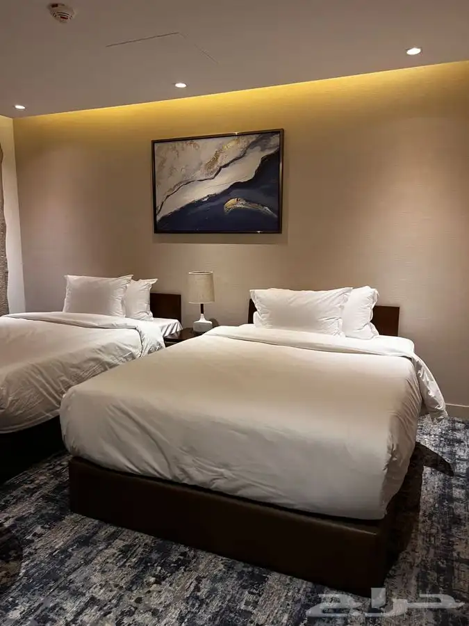 لوحات جدارية كانفس 14