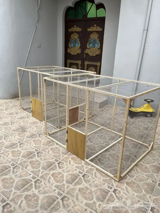 محاكر دجاج محاكر حمام محكر روز محكر 11