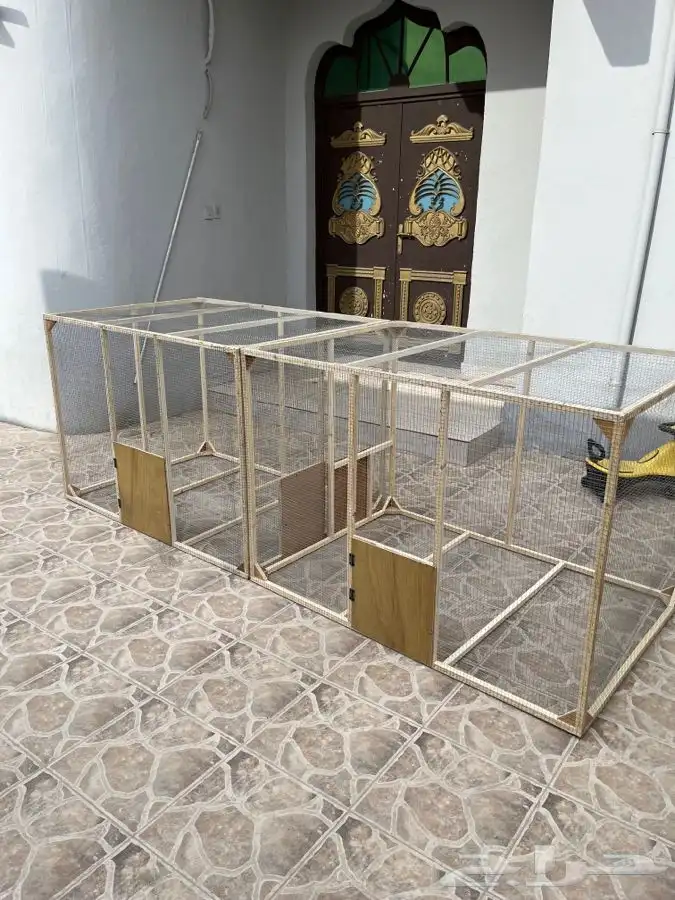 محاكر دجاج محاكر حمام محكر روز محكر 12