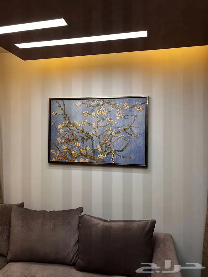 لوحات جدارية كانفس 24