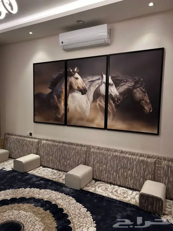 لوحات جدارية كانفس 29